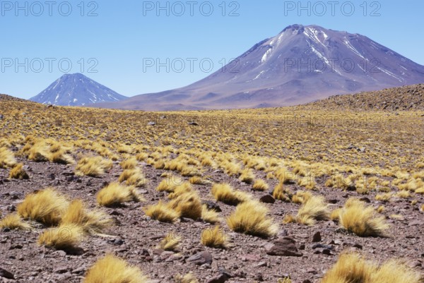 Sector Lagunas Miscanti y Miñiques, Los Flamencos Reserve National, Atacama Desert, Region de Antofagasta, Santiago, Chile