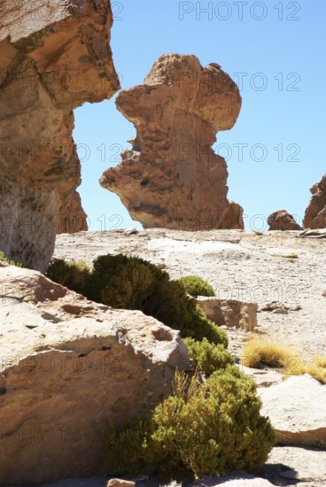 Rock Forest, Desert of Lipez, Department of Potosi, Sud Lipez Province, La Paz, Bolívia