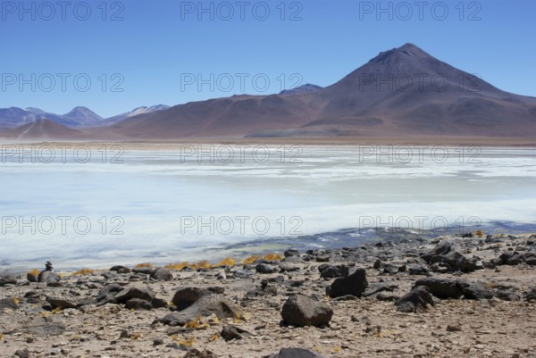 Laguna Blanca, Reserves national of Andean fauna Eduardo Abaroa, Desert of Lipez, Department of Potosi, Sud Lipez Province, La Paz, Bolívia
