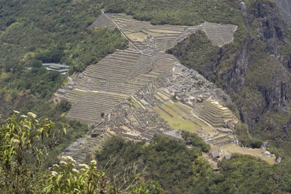 Machu Picchu - Valle Sagrado de los Incas - Region de Cusco - Perú ATENÇÃO: NÃO PODEMOS REPRESENTAR ESSA IMAGEM FORA DA AMERICA LATINA