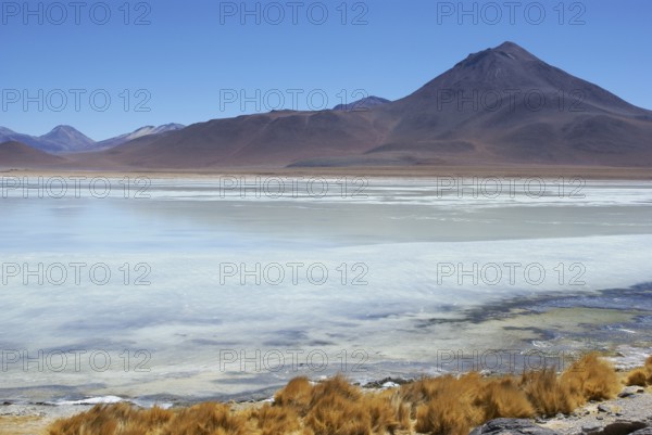 Laguna Blanca, Reserves national of Andean fauna Eduardo Abaroa, Desert of Lipez, Department of Potosi, Sud Lipez Province, La Paz, Bolívia