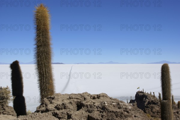 Salar of Uyuni, Desert of Lipez, Department of Potosi, Sud Lipez Province, La Paz, Bolívia