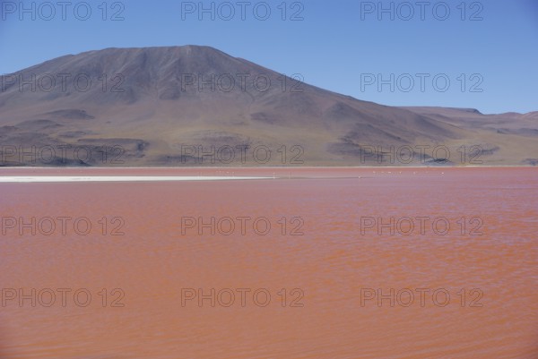 Laguna Colorada, Reserves national of Andean fauna Eduardo Abaroa, Desert of Lipez, Department of Potosi, Sud Lipez Province, La Paz, Bolívia