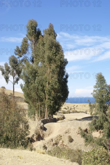 Isla Amantani, Titicaca Lake, Lima, Peru