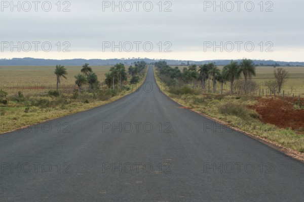 Highway, Landscape, Bonito, Mato Grosso do Sul, Brazil