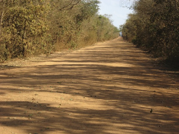 Dirt road, Bonito, Mato Grosso do Sul, Brazil