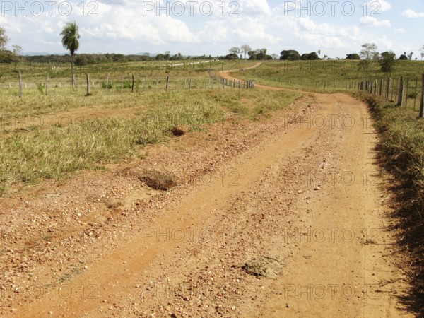 Dirt road, Pantanal, Mato Grosso do Sul, Brazil