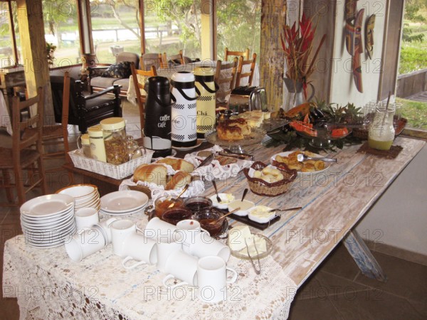 Breakfast, Pantanal, Mato Grosso do Sul, Brazil