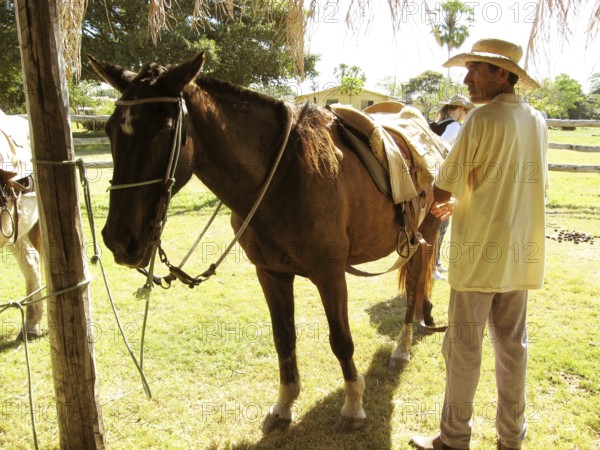 People, Animal, Horse, Pantanal, Mato Grosso do Sul, Brazil