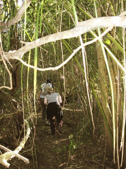 People, Treads, Pantanal, Mato Grosso do Sul, Brazil