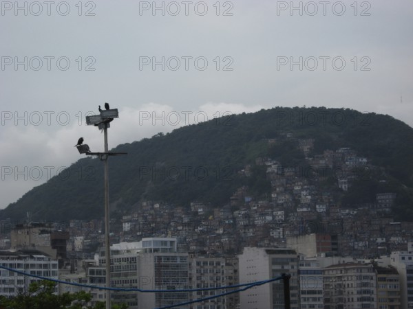 Slums, hill, City, Rio de Janeiro, Brazil