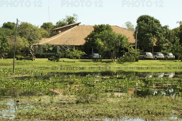 Brazil, Mato Grosso do Sul, Campo Grande, Pantanal, farm, farms, houses, wall, walls, door, doors, window, windows, tile, tiles, roof, roofs, swamp, swamps, river, rivers, water, waters, car, cars, tree, trees, branch, branches, leaf, leaves, branch, branches, plant, plants, bush, bushes, flower, flowers, post, posts, lamp, lamps, thread, threads, turns, wheels, tire, tires, vegetation, vegetations, landscape, landscapes, ecology, nature, day, sky, cloud, clouds, color, colors, white, black, blue, ash, yellow, green, red, detail, details, concept, concepts, detail, details, texture, Laurent Guerinaud, horizontal