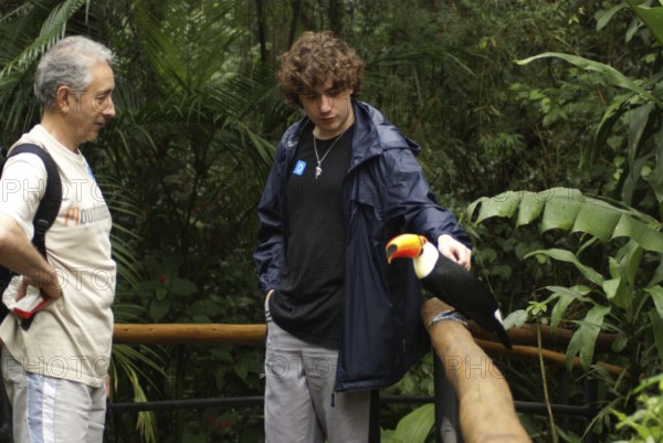 People, bird, Toucan-stub, OiseauxFoz, Foz Iguaçu, Brazil