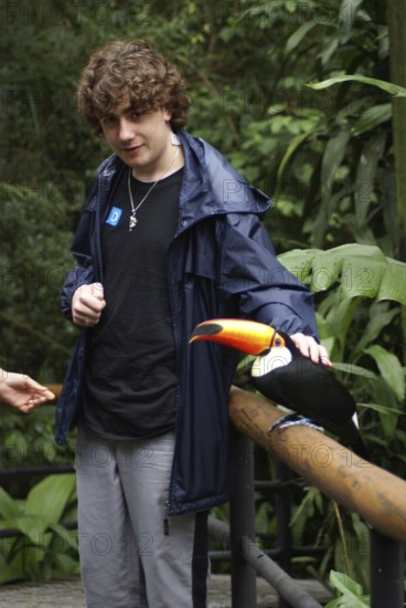 People, bird, Toucan-stub, OiseauxFoz, Foz Iguaçu, Brazil