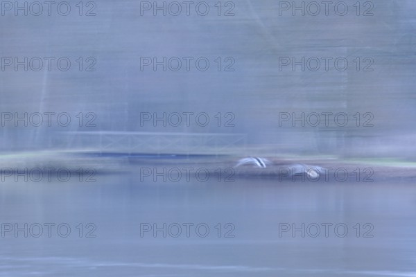 Park, Landscape, Essonne (91), France