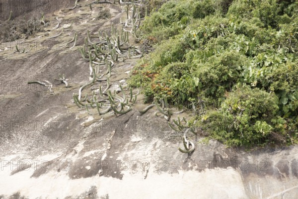 Stone, Texture, Ilha Grande, Rio de Janeiro, Brazil
