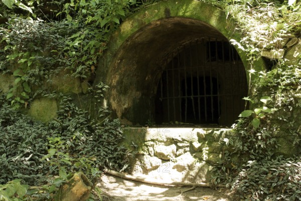 Tunnel, Nature, Ilha Grande, Rio de Janeiro, Brazil