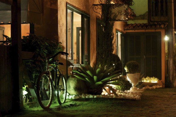 Plants, Bicycle, Ilha Grande, Rio de Janeiro, Brazil