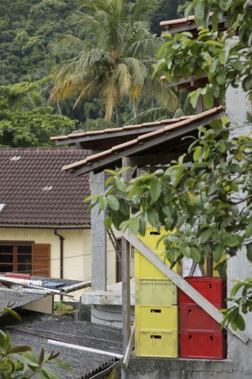 House, Nature, Ilha Grande, Rio de Janeiro, Brazil