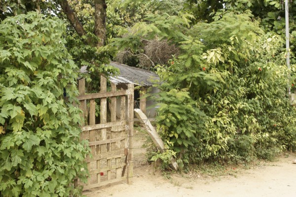 Gate, Plants, Ilha Grande, Rio de Janeiro, Brazil