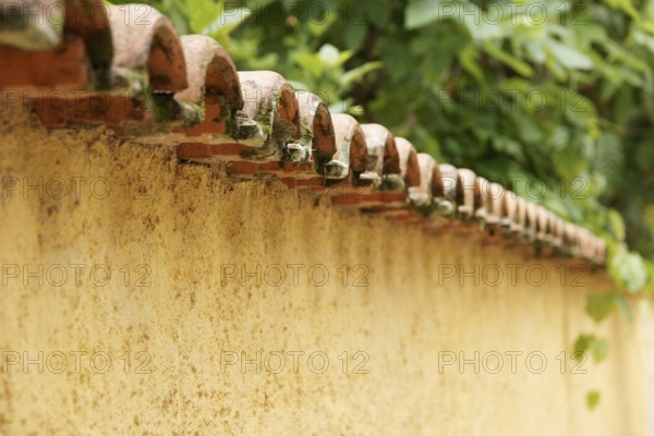 Wall, Tiles, North coast, Camburi, São Paulo, Brazil