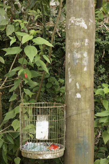 Basket of Garbage, North coast, Camburi, São Paulo, Brazil