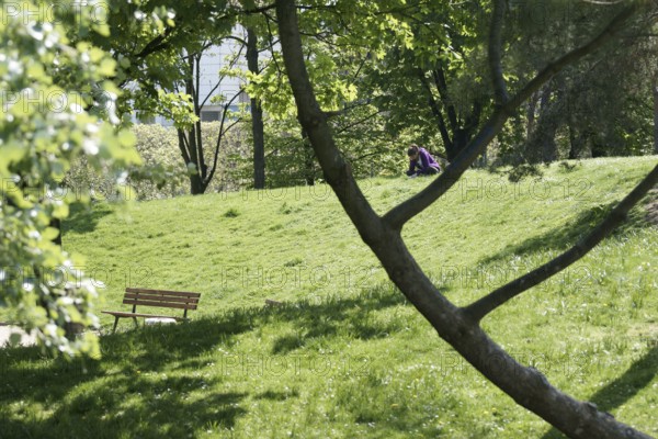 Trees, Parc des Glacières, Bolougne-Billancourt, Hauts-de-Seine (92), Ile de France, France