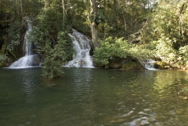 Forest, Nature, Seis Cachoeiras Park, Bonito, Mato Grosso do Sul, Brazil