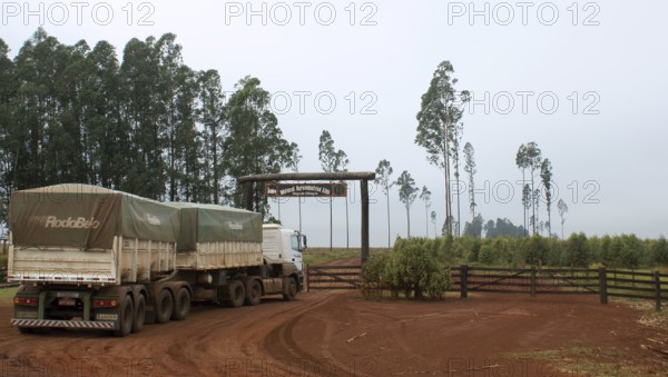 Truck, Highway Between São Paulo and Campo Grande, Mato grosso do Sul, Brazil