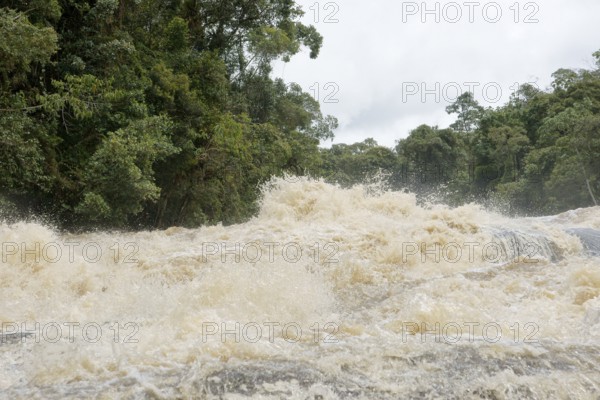 Forest, Water, Serra do Mar State park, Núcleo Santa Virgínia, São Paulo, Brazil