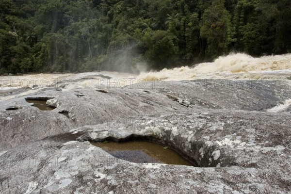 Forest, Water, Serra do Mar State park, Núcleo Santa Virgínia, São Paulo, Brazil