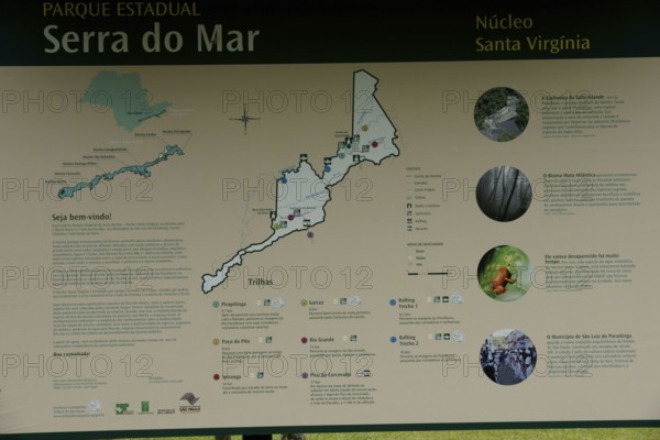 Plate, Serra do Mar State park, Núcleo Santa Virgínia, São Paulo, Brazil