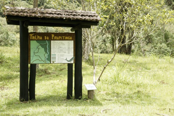Forest, Pirapitinga Trail, Serra do Mar State park, Núcleo Santa Virgínia, São Paulo, Brazil