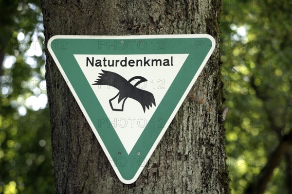 Sign Naturdenkmal, natural monument, on a tree, Passau, Bavaria, Germany