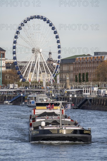 Dutch cargo ship Orfeo, brings power plant coal from the Netherlands to Mannheim, here on the Rhine near Düsseldorf, old town backdrop with giant wheel, North Rhine-Westphalia, Germany