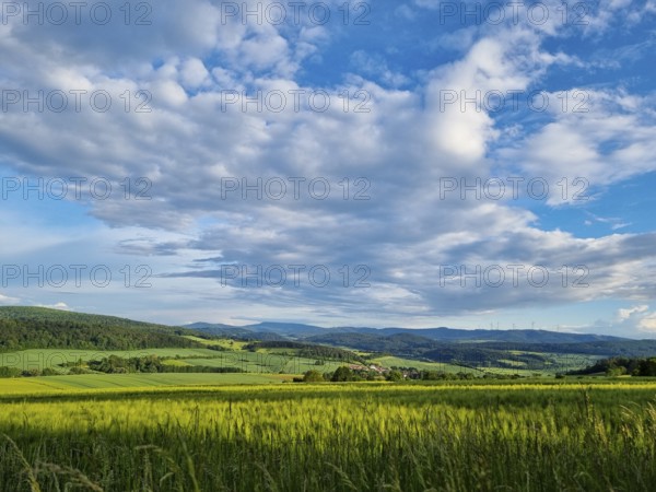 Sunny summer landscape with fields, meadows and forests (smartphone photo) . Hübental, Witzenhausen, Werra-Meißner-Kreis, North Hesse, Germany