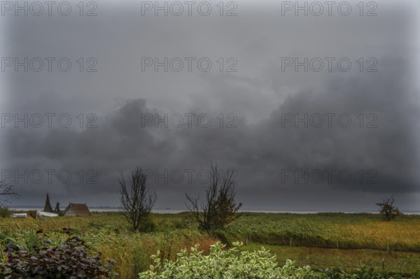 Dark rain clouds (Nimbostratus) over the lagoon, Ahrenshoop, Darß, Mecklenburg-Western Pomerania, Germany