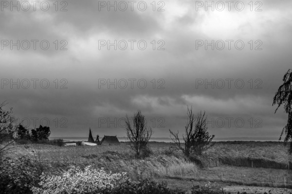 Dark rain clouds (Nimbostratus) over the lagoon, black and white, Ahrenshoop, Darß, Mecklenburg-Western Pomerania, Germany