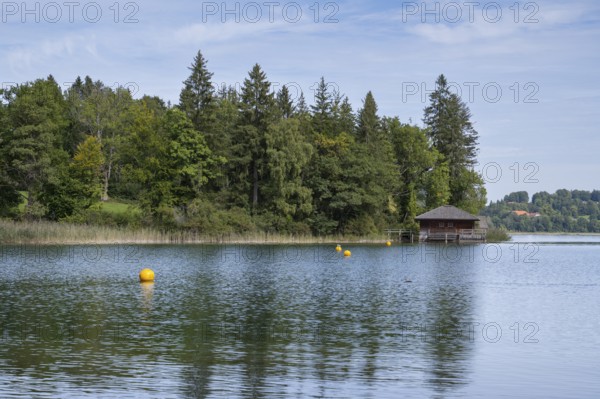 Hütte am Ufer des Tegernsee, Wald, Bad Wiessee, Upper Bavaria, Bavaria, Germany