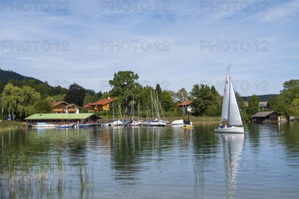 Yachthafen am Tegernsee, Marina, Bad Wiessee, Upper Bavaria, Bavaria, Germany