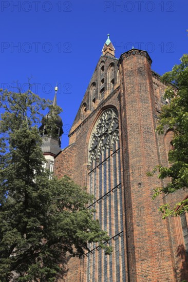 St. Mary's Church, Stralsund, Hanseatic City of Stralsund, Vorpommern-Rügen District, Mecklenburg-Western Pomerania, Germany