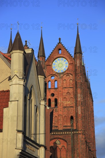 Town hall in the urban area of Altstadt, Stralsund, Hanseatic City of Stralsund, Vorpommern-Rügen district, Mecklenburg-Western Pomerania, Germany