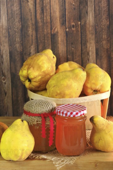 Picturesque still life with quince and quince jelly in a glass, autumn, Germany