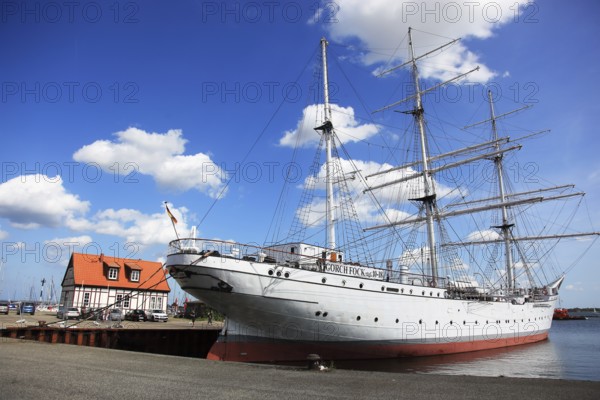 Gorch Fock, a sailing school ship rigged as a bark in the harbor, Stralsund, Vorpommern-Rügen district, Mecklenburg-Western Pomerania, Germany