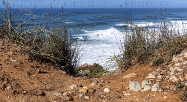 Landscape on the rocky plateau of Sito, also known as Forte São Miguel, a surfer paradise with monster waves in the months of November to February, Nazaré, Portugal