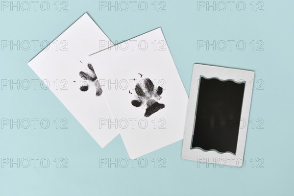 Dog paw prints on white paper next to ink pad on blue background
