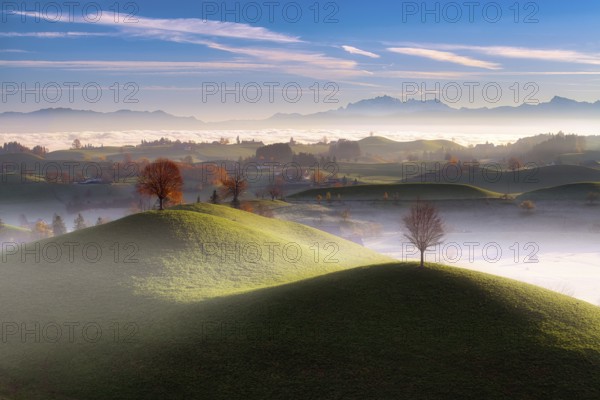 Misty hilly landscape near Hirzel at sunrise, behind Mount Säntis, Canton of Zug, Switzerland