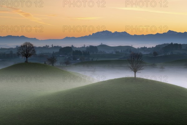 Misty hilly landscape near Hirzel at dawn, behind Mount Säntis, Canton of Zug, Switzerland