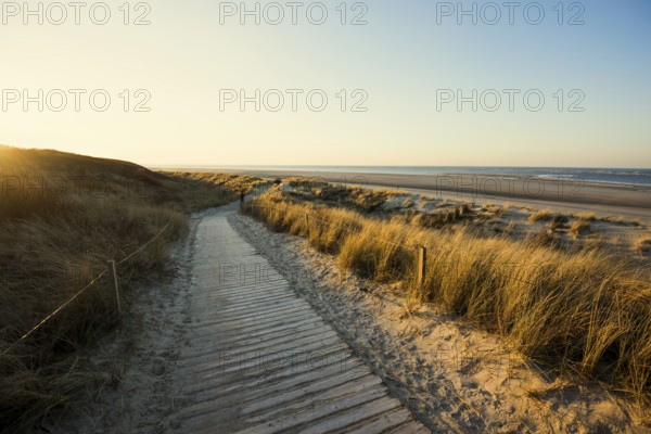 Trail in the dunes and blue sky in winter, sunset, Spiekeroog, East Frisian Islands, Lower Saxony, Germany