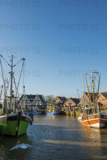Harbour and blue sky in winter, Carolinensiel, Wittmund, East Frisia, Lower Saxony, Germany
